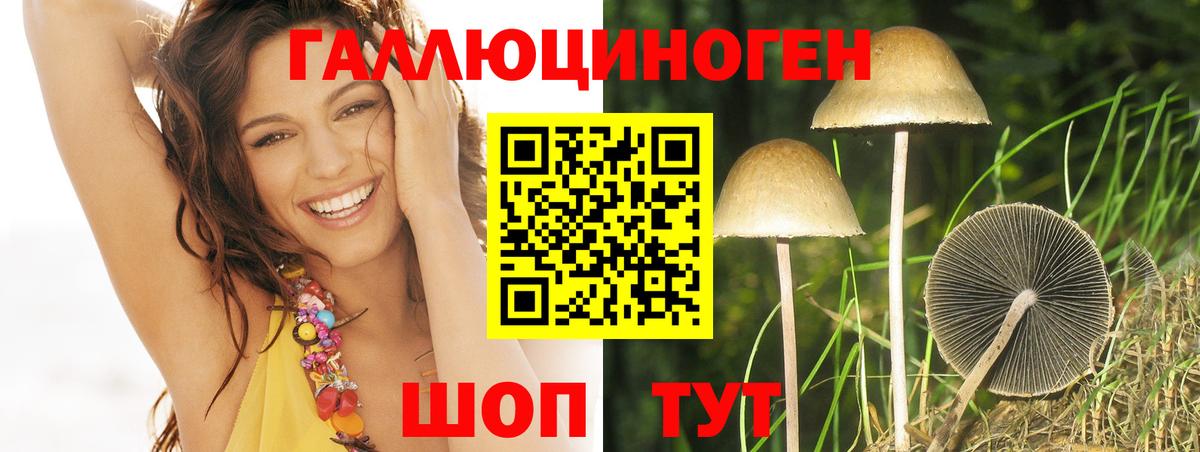 Псилоцибиновые грибы Cubensis Кропоткин